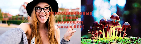 сатива Абдулино