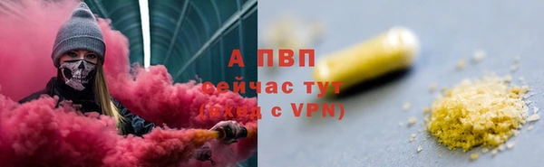 прущие грибы Алексеевка