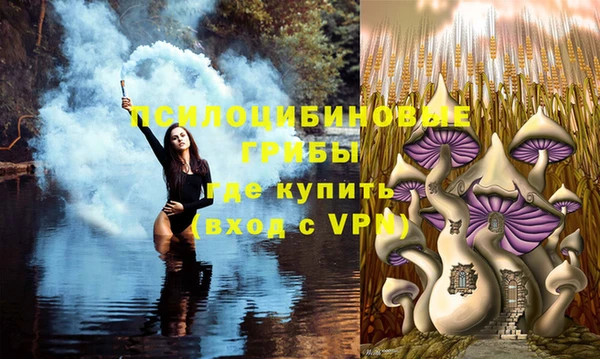 ALPHA-PVP Алексин