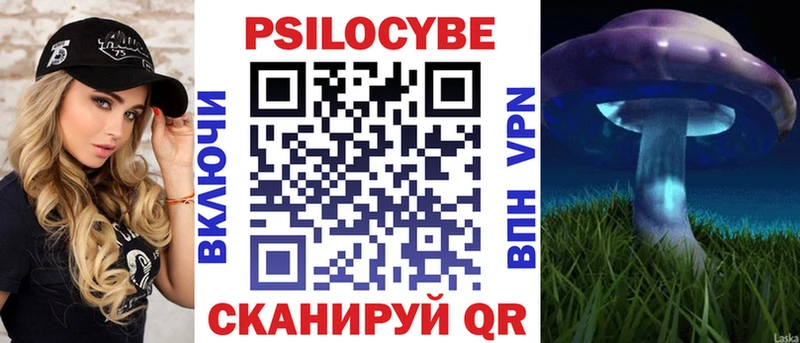 Галлюциногенные грибы Psilocybe Почеп